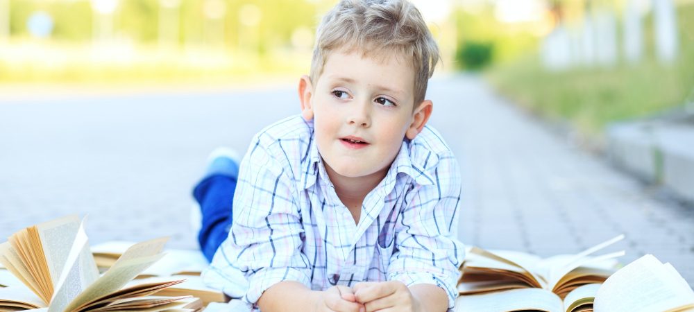 Little pensive boy studying textbooks. The concept is back to school, education, reading, hobbies